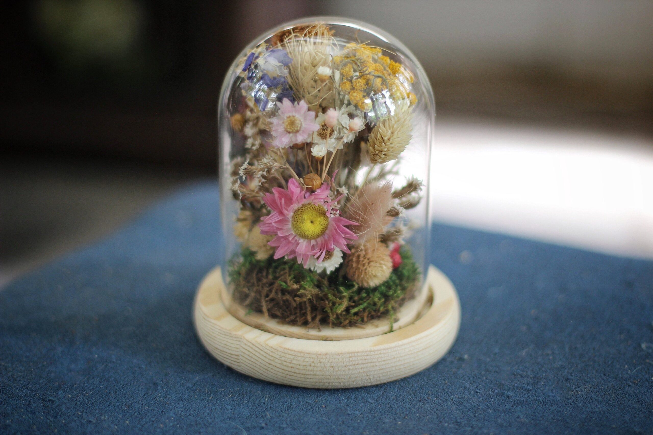 flowers in the glass dome