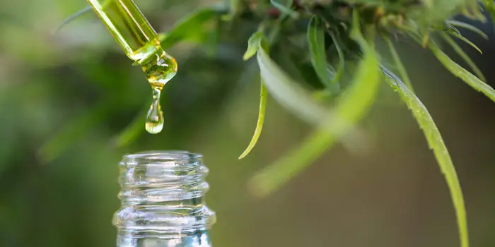 shop cbd oil drops