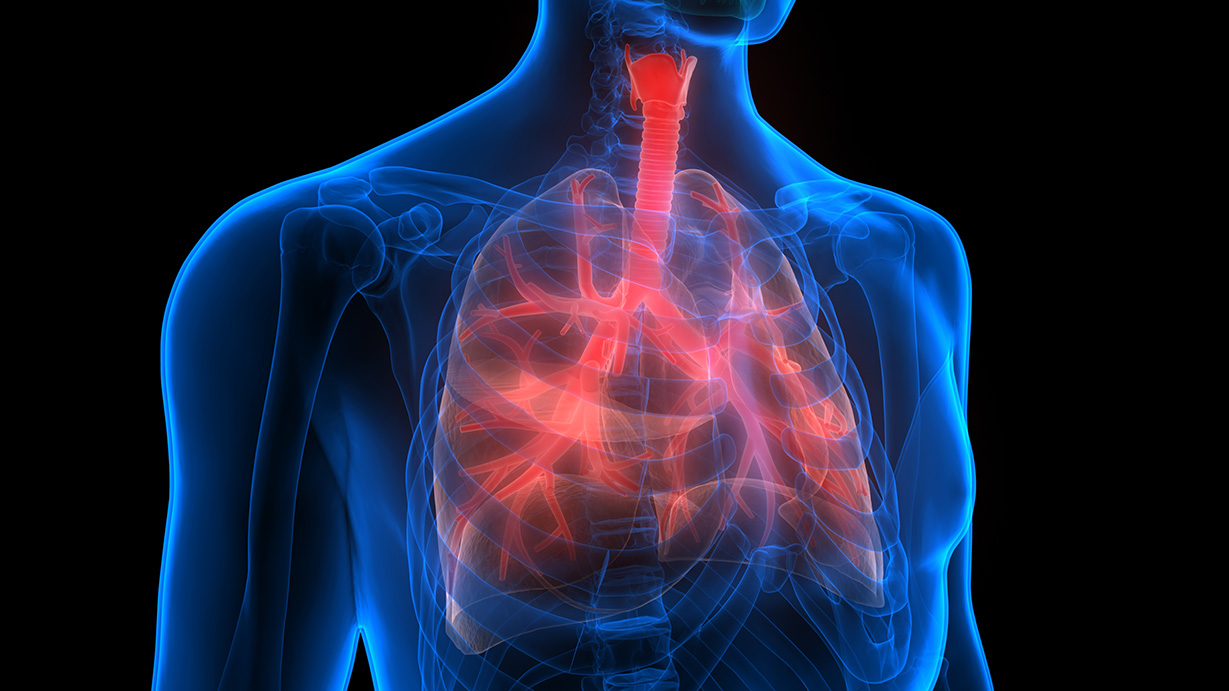 Information About Lung Cancer Treatment