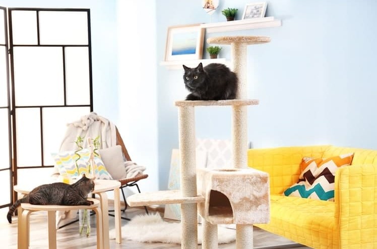 Cat Tree King: The Perfect Den for Your Cat Friend