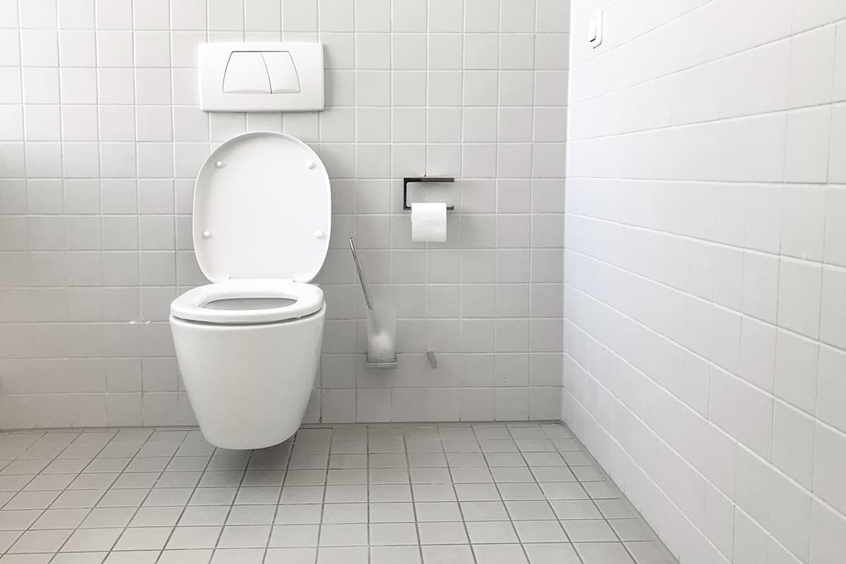 What to Consider When Purchasing a Toilet: Key Factors Revealed